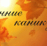До конца первой учебной четверти осталась неделя - Администрация Балахнинского района