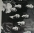 You are viewing the image with filename image-04-10-20-02-46.jpeg - Музейный историко-художественный комплекс