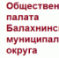 Завершилась процедура формирования  Общественной  палаты Балахнинского муниципального округа Нижегородской области - Администрация Балахнинского района